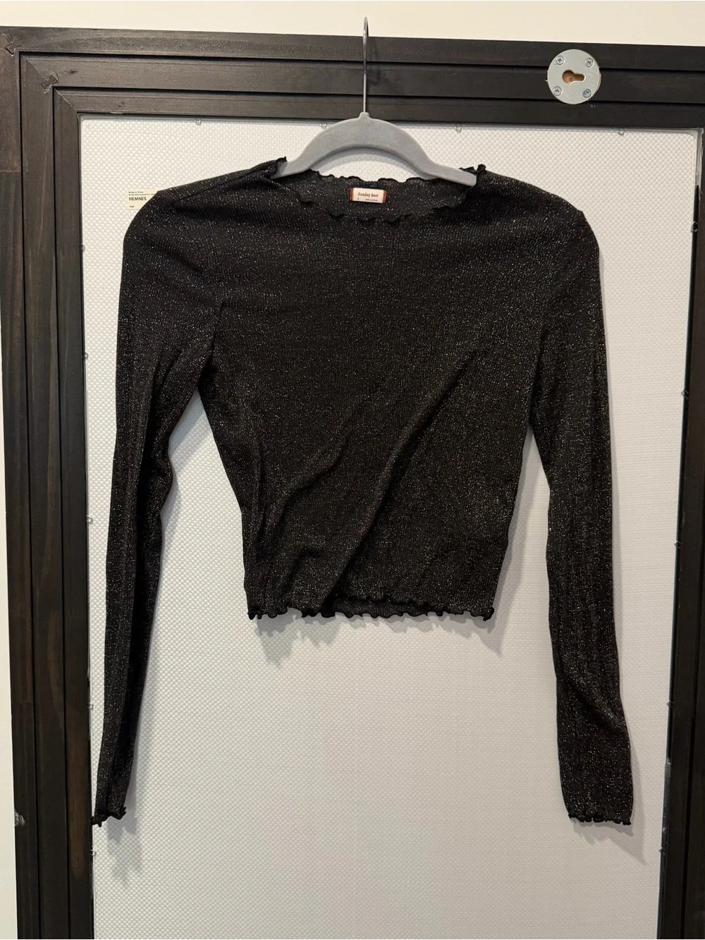 Aritzia Sunday Best Shimmery Semi Sheer Black Long Sleeve Top